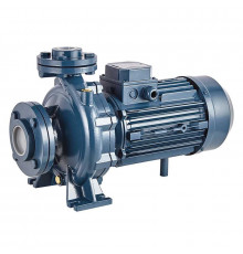 Консольно-моноблочный фланцевый насос PURITY PSTC 65-125/75 (N)